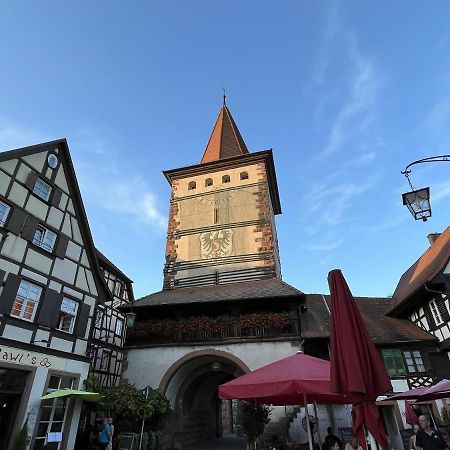 Coucou - Nest Im Schwarzwald Apartment Gengenbach Exterior photo